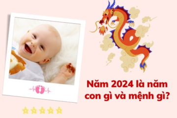 2024-nam-gi-sinh-con-tot-khong